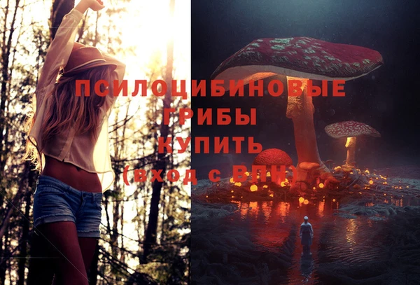 винт Аркадак