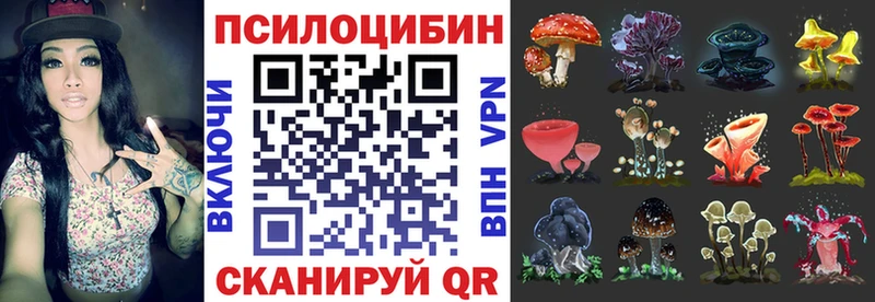 купить наркотики сайты  Рошаль  Псилоцибиновые грибы мицелий 